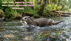 Otter Names