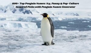 Penguin Names