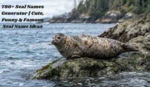 Seal Names